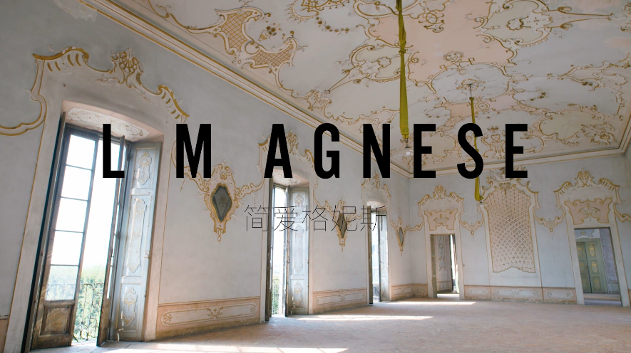 L M AGNESE