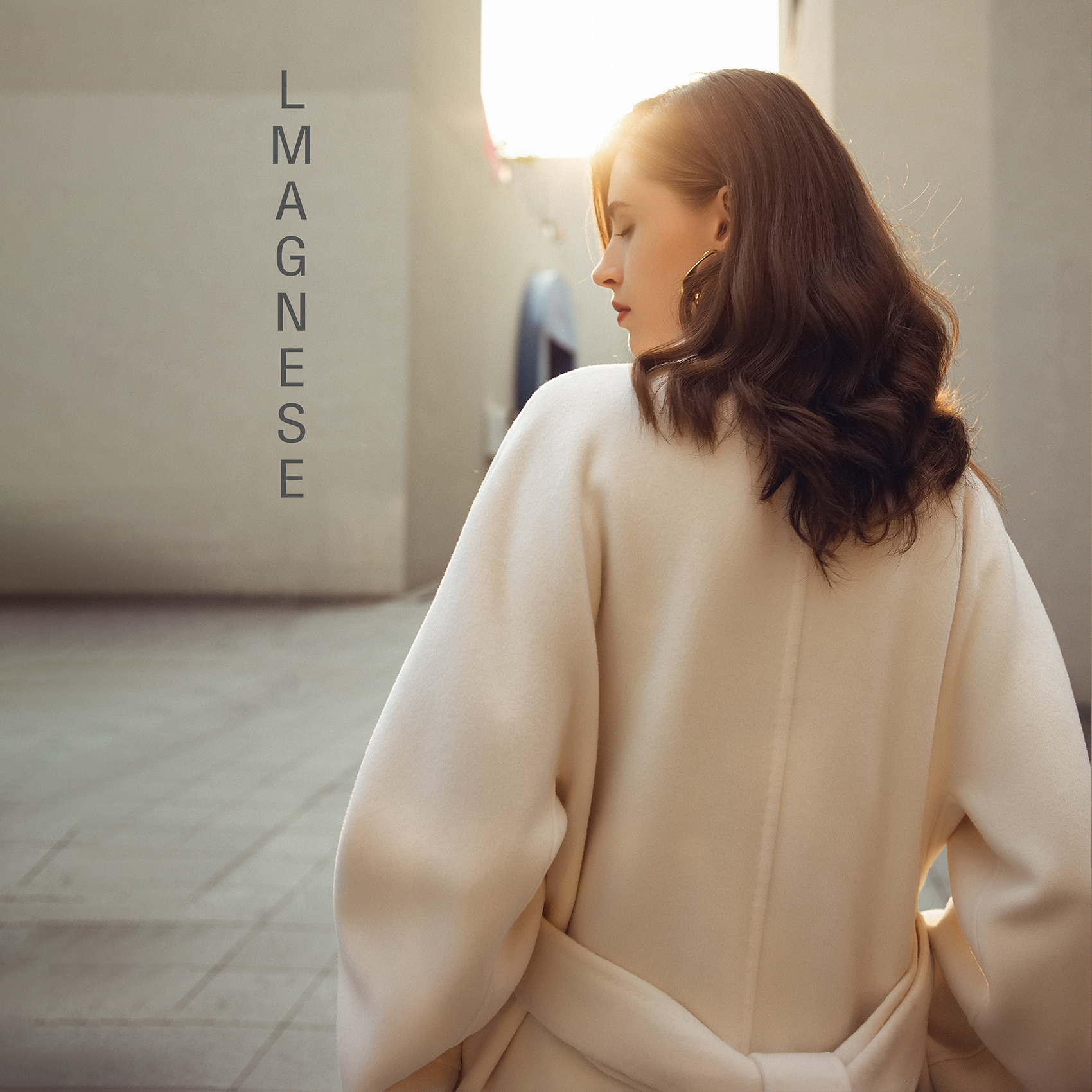 L M AGNESE brand women's wear to join the decoding entrepreneurial project new direction to create a high-quality entrepreneurial position